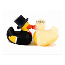 Hochzeitsenten 3 postkarte