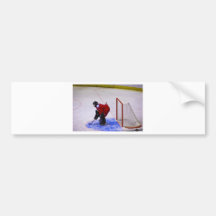 Hockeytorhüter Auto Sticker