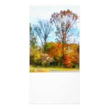 Hohe Herbst-Bäume Fotokarten