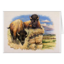 Hoher Ebenen-Bison Karte
