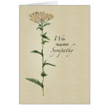 Hohes Beileid der Blumen-3270 Grußkarten