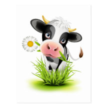 Holstein-Kuh im Gras Postkarten