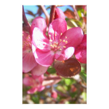 Holzapfel-Baum in der Blüte Personalisierte Druckpapiere