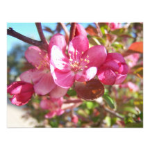 Holzapfel-Baum in der Blüte Personalisierte Einladung