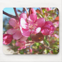 Holzapfel-Baum in der Blüte Mousepads