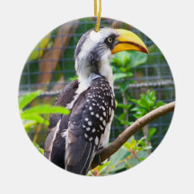 hornbill on perch in green plants ornament