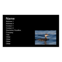 Horned Grebe Business Card