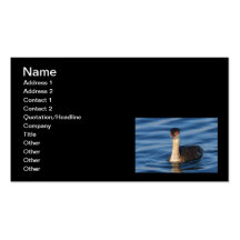 Horned Grebe Business Cards