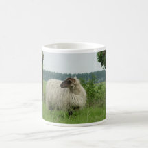 Hornlose Schafe Tasse