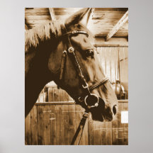 horsefresco posterdrucke