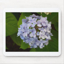 Hortensie Mousepads