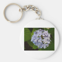 Hortensie Schlüsselbänder