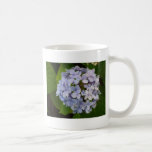 Hortensie Tee Tassen