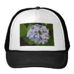 Hortensie Trucker Cap
