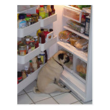 Howie Pipi Pugpants Postkarten