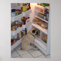 Howie Pipi Pugpants überfällt das Kühlschrank-Plak Plakat
