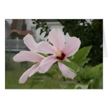 Hübsch im Rosa Grußkarten