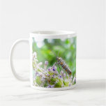 Hübsche gepunktete Ermine-Motte auf Agastache Tasse