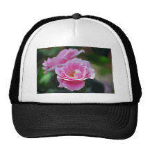 Hübsche rosa Rosen Retrokappen
