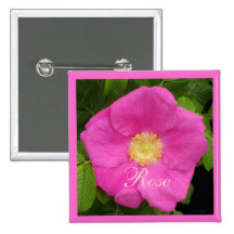 Hübsche rosa Strand-Pflaumen-Rose Anstecknadelbuttons