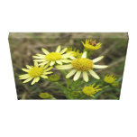Hübscher gelber Wildblumen-Leinwand-Druck Leinwanddruck