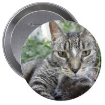 Hübscher Kitty Anstecknadelbutton