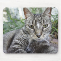 Hübscher Kitty Mousepads