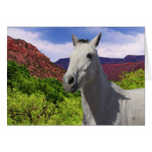 Hübsches kleines graues graues Pony mit großen Aug Karten