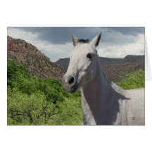 Hübsches kleines graues graues Pony mit großen Aug Karte