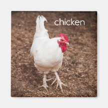 Huhn-Kühlschrank-Magnet