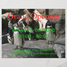 Humboldt-Pinguin Individuelle Flyer