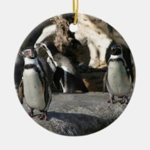 Humboldt-Pinguin Ornament