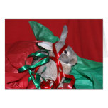 Humbug-Weihnachtshäschen Karten