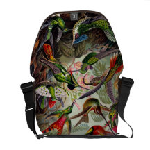 Humingbird zoologische Druck-Botetasche Kuriertasche