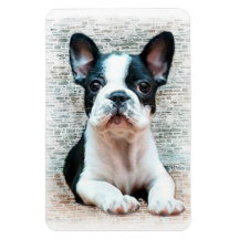 Hund der französischen Bulldogge Flexible Magnete