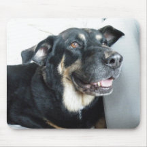 Hund Mousepad