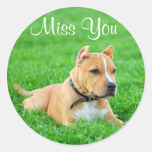 Hündchen-Gruß-Aufkleber Fräulein-You Pitbull