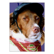 Hunde Grußkarten