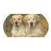Hunde Photo Karten