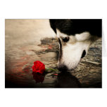 Hunde-und Rosen-Geschenk-Karte