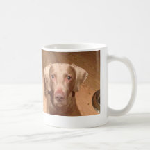 Hundebecher Haferl