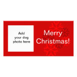 Hundefoto-Schneeflocke-rote weißes Weihnachtskarte Bildkarte