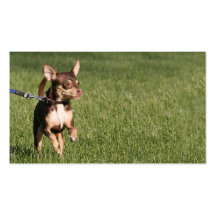 Hundegehen Visitenkarte