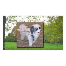 Hundegehende Visitenkarte