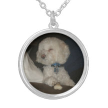 Hundehalskette