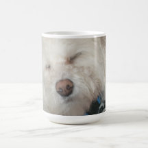 Hundekaffeetasse