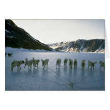 Hundeteam, Grönland Karten