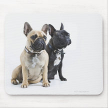 Hundetraining u. -gehorsam mousepads