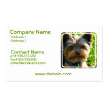 HundeVisitenkarte Yorkshires Terrier