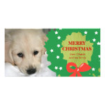 Hundeweihnachtsfoto-Karten winden Grün Bildkarte